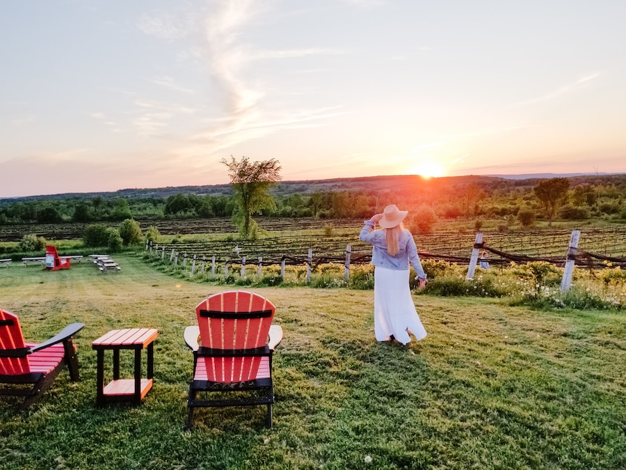 Wine + hops tasting with vintners food pairings| stunning views | wine tours of Grey County | Wine Country Ontario