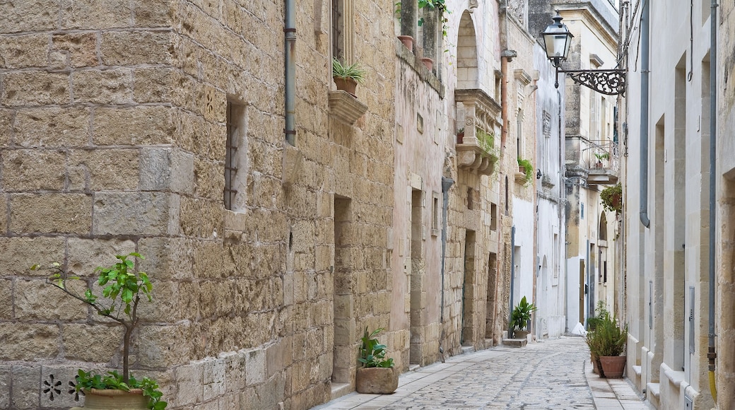 Alleyway. Martano. Puglia. Italy.