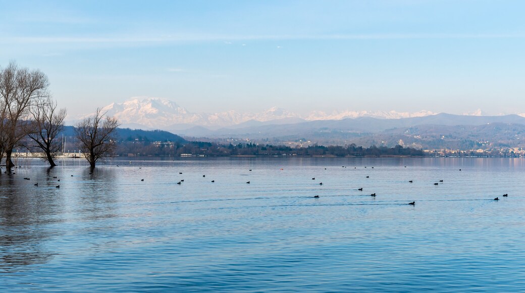 Landscape of Cicognola beach between Lake Maggiore and the Ticino river in Castelletto sopra Ticino, Italy