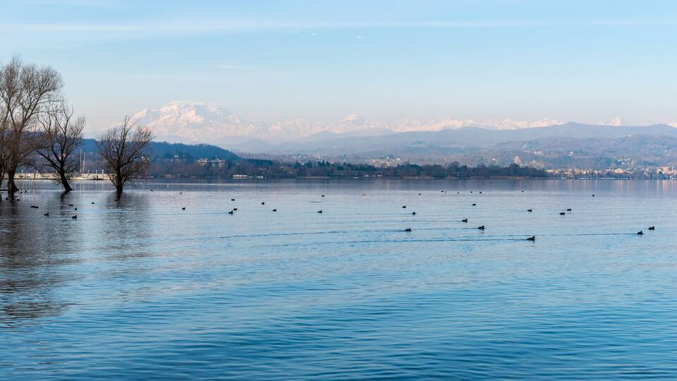 A lake with ducks, leafless trees, and a snow-capped mountain range in the background.