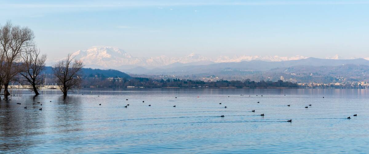 A lake with ducks, leafless trees, and a snow-capped mountain range in the background.