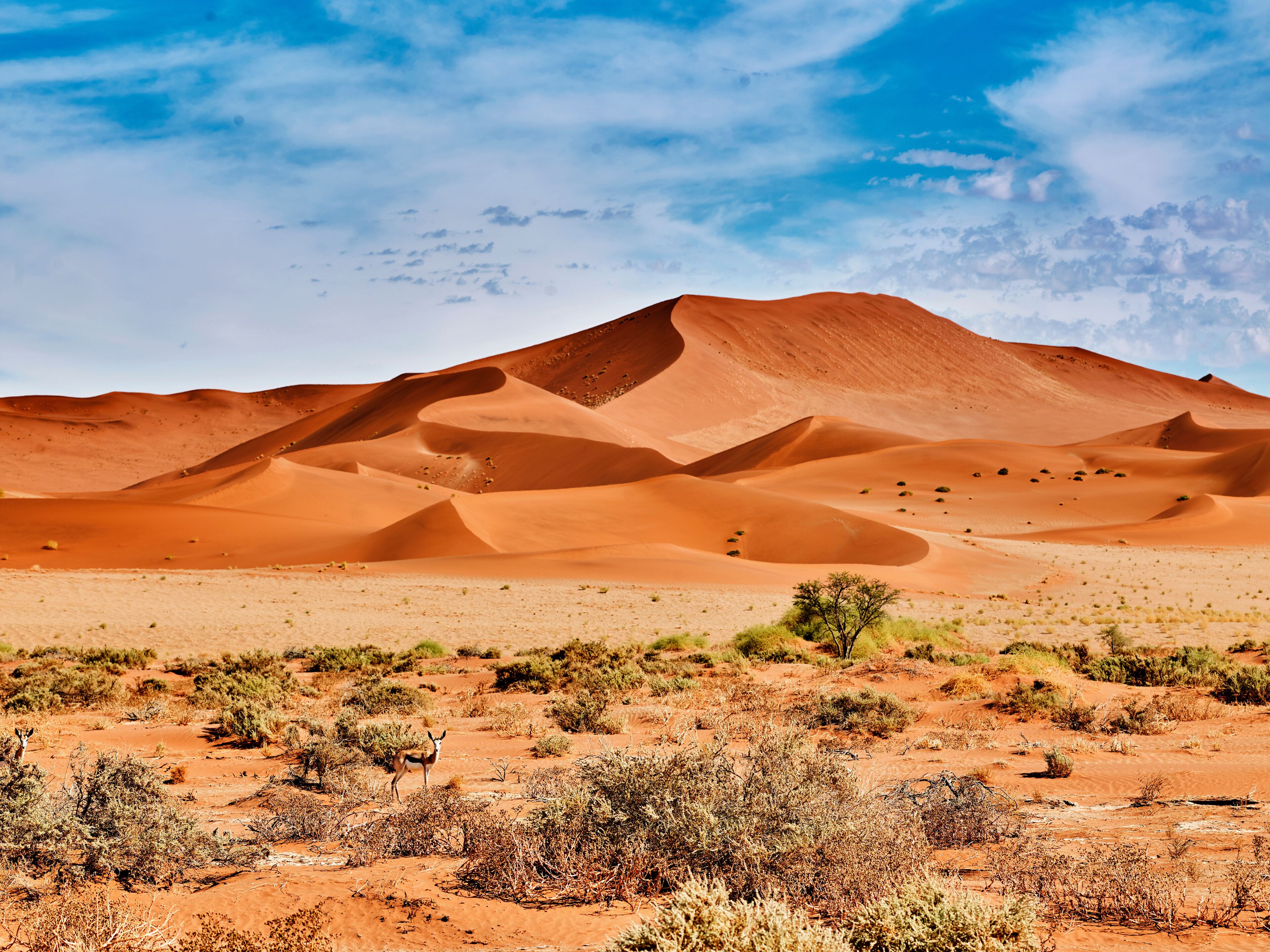 Hardap Region