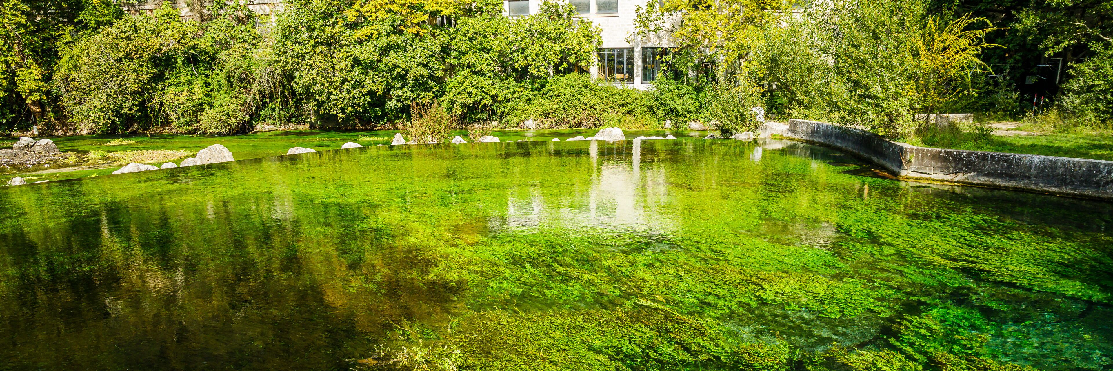 Fontaine-de-Vaucluse