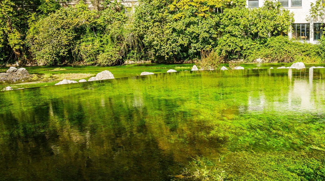 Fontaine-de-Vaucluse