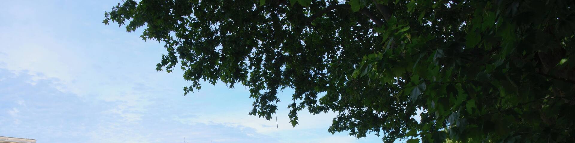 The bridge over the Vidourle river at Sommieres