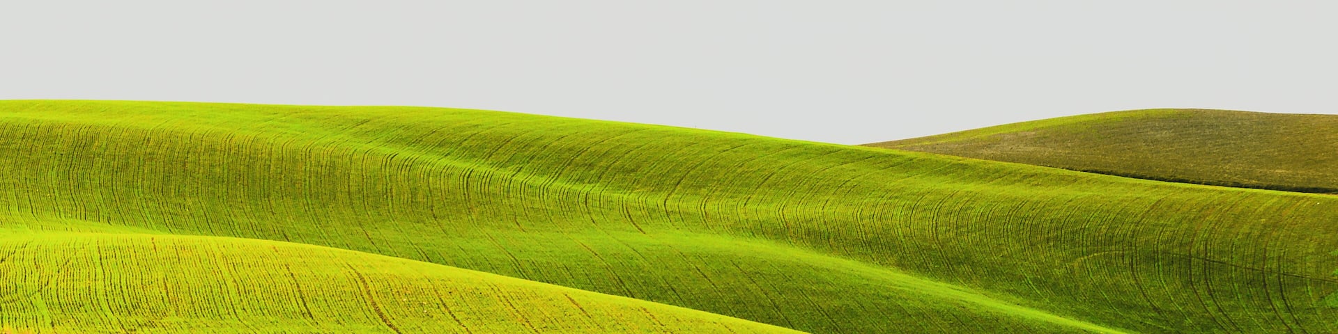 Exploring the roads around Santa luce you can find the classic Tuscany landscape.