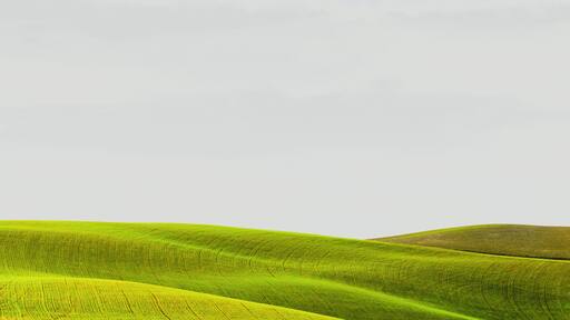 Exploring the roads around Santa luce you can find the classic Tuscany landscape.