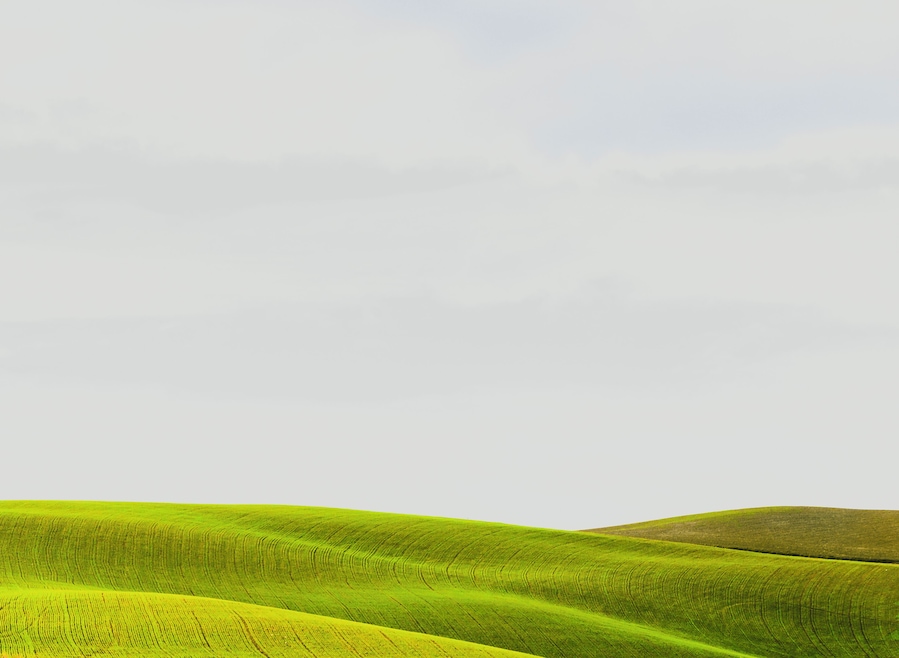 Exploring the roads around Santa luce you can find the classic Tuscany landscape.