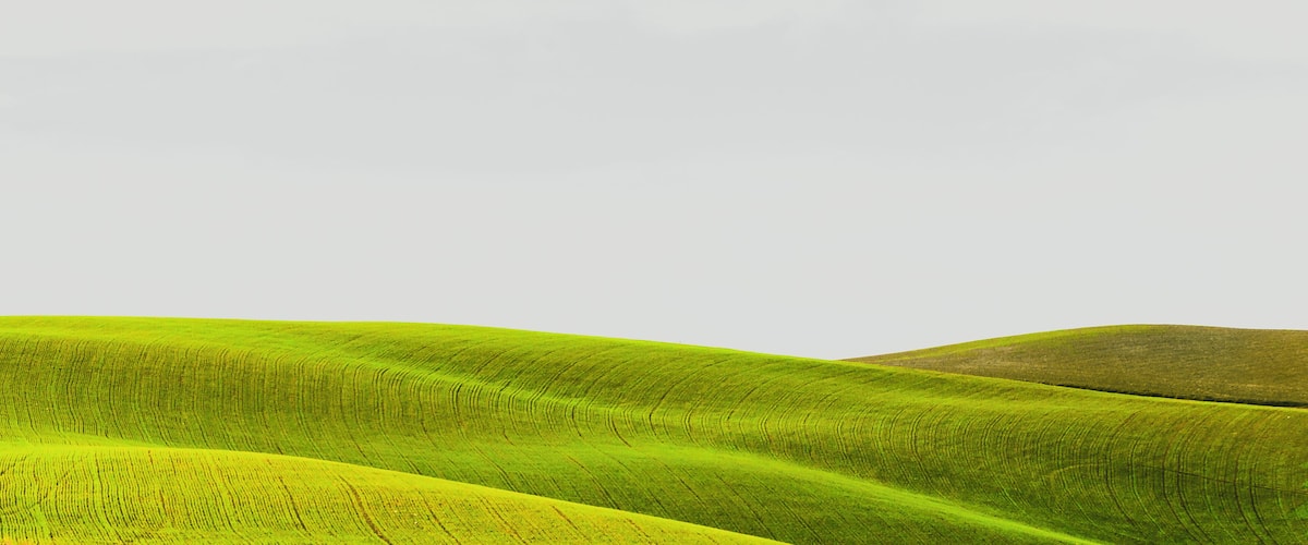 Rolling green hills under a cloudy sky.