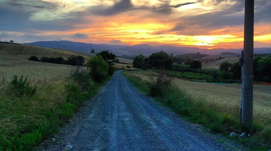A walk in the country on July 13, 2014. This was the only road leading into Agriturismo La Lespa in Pomaia, Santa Luce in Tuscany! It was a great week staying here with our fantastic hosts Marco and Sheila. #tuscany #goldenhour #blue