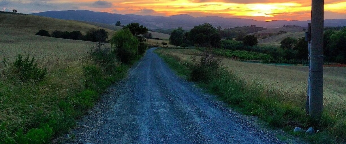 A walk in the country on July 13, 2014. This was the only road leading into Agriturismo La Lespa in Pomaia, Santa Luce in Tuscany! It was a great week staying here with our fantastic hosts Marco and Sheila. #tuscany #goldenhour #blue
