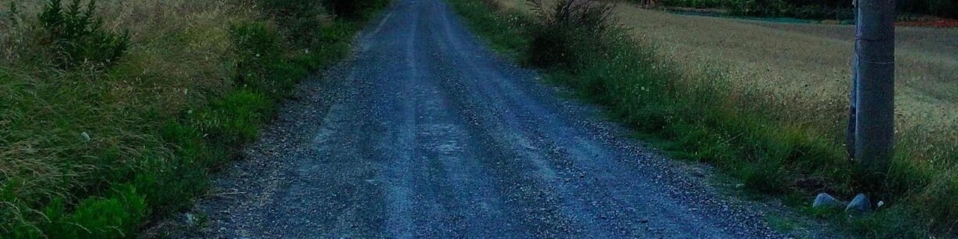 A walk in the country on July 13, 2014. This was the only road leading into Agriturismo La Lespa in Pomaia, Santa Luce in Tuscany! It was a great week staying here with our fantastic hosts Marco and Sheila. #tuscany #goldenhour #blue