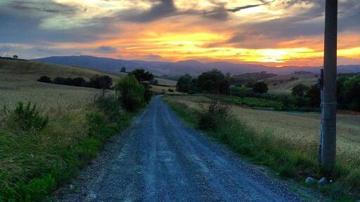 A walk in the country on July 13, 2014. This was the only road leading into Agriturismo La Lespa in Pomaia, Santa Luce in Tuscany! It was a great week staying here with our fantastic hosts Marco and Sheila. #tuscany #goldenhour #blue