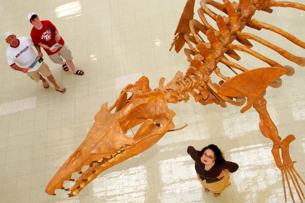 Alabama Museum of Natural History das einen Innenansichten