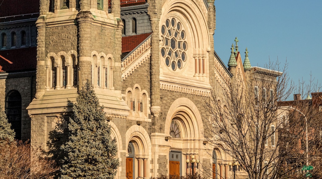 Basilique Saint François-Xavier