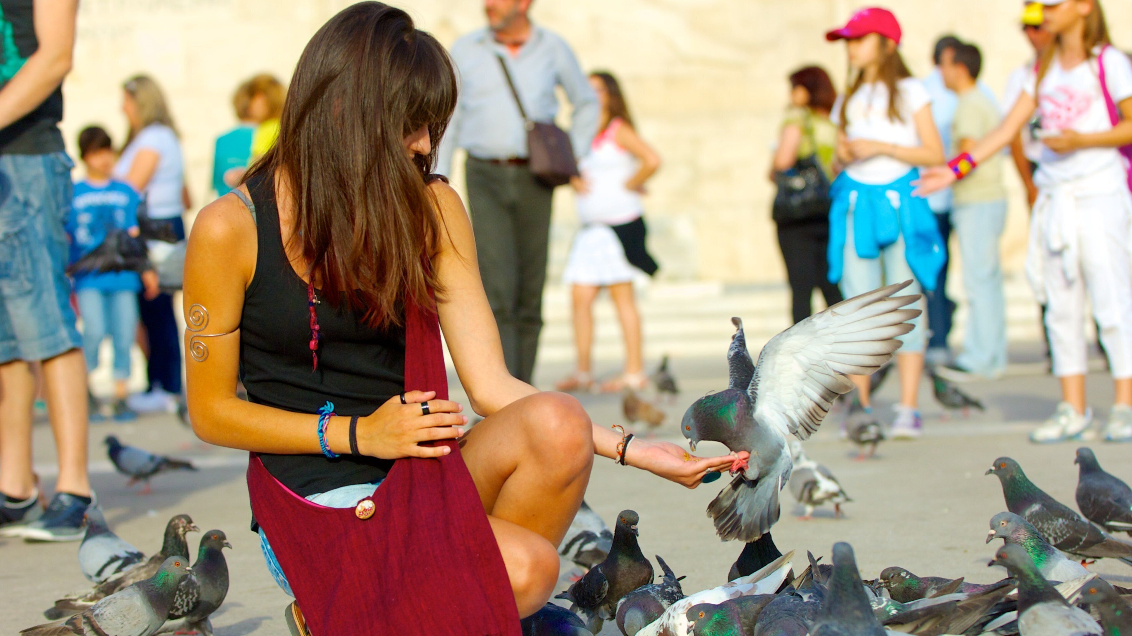 憲法廣場 设有 鳥禽動物 以及 大群人