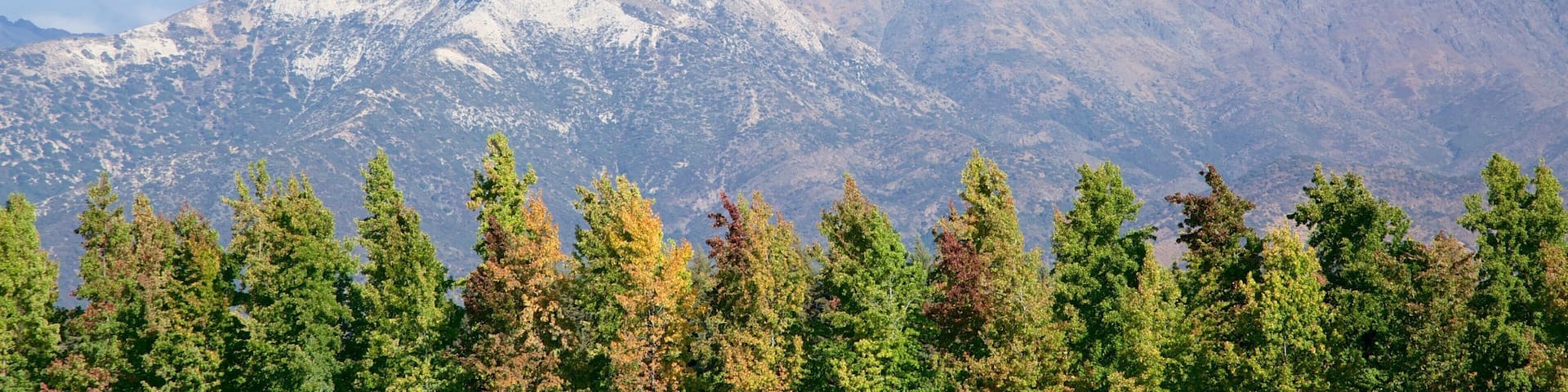 Pirque featuring mountains and forests