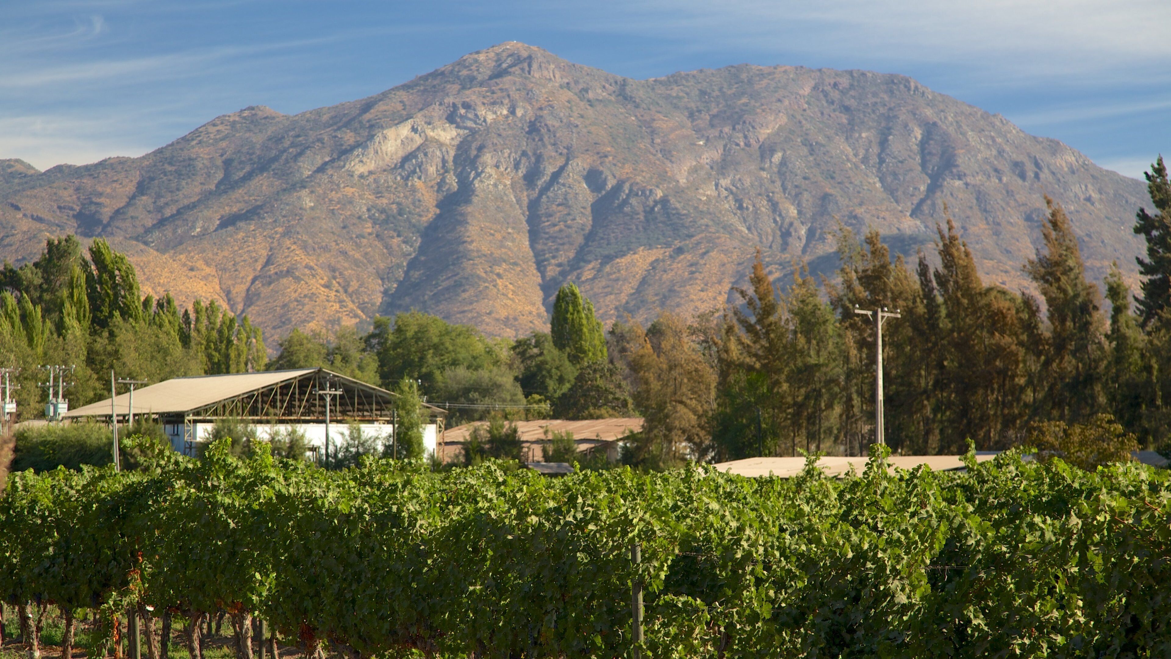 Pirque som viser fjell og åkre