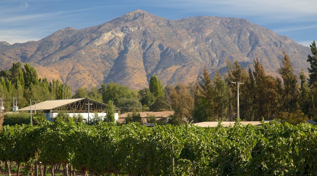 Pirque ofreciendo tierra de cultivo y montañas