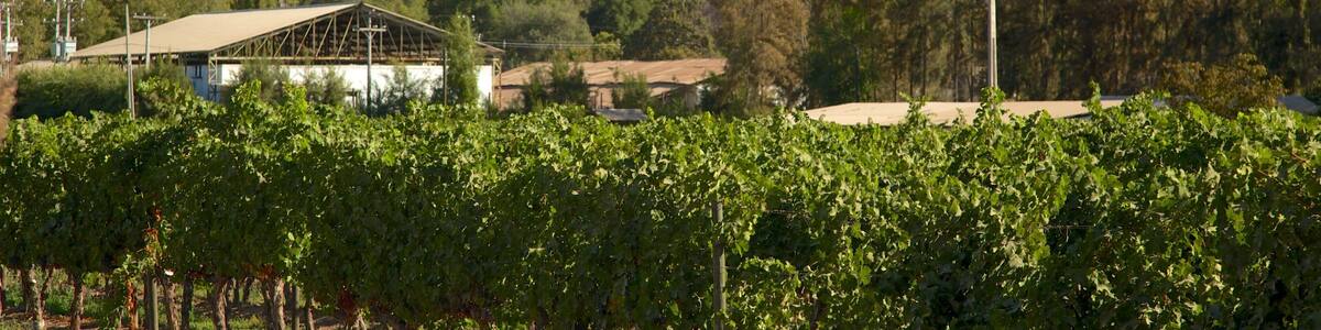 Pirque welches beinhaltet Farmland und Berge