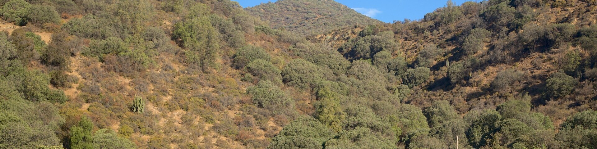 Pirque which includes mountains and farmland