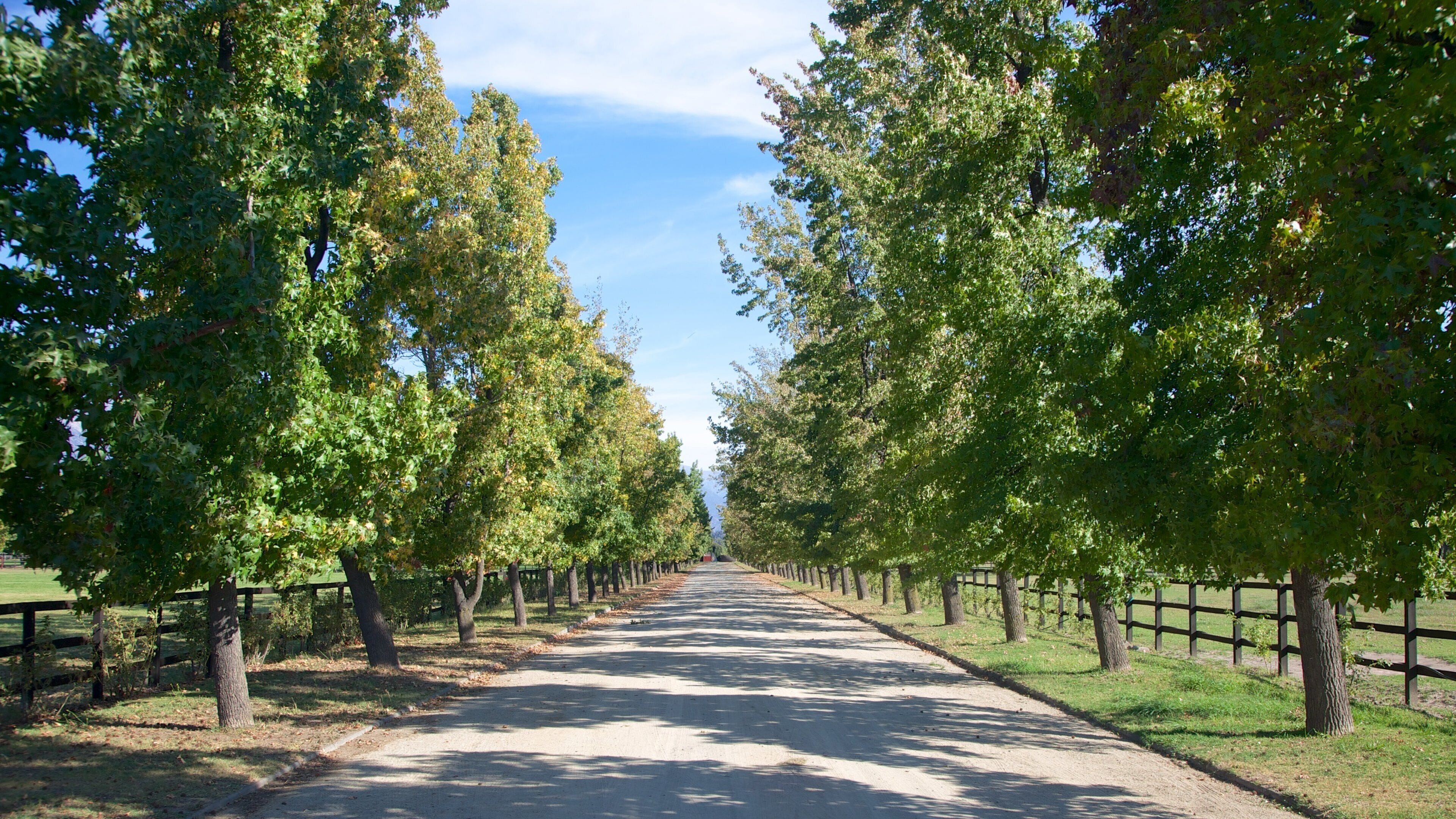 Pirque som inkluderer hage