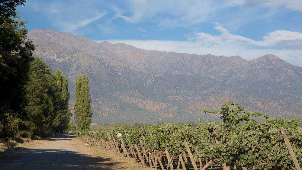 Pirque showing mountains and farmland