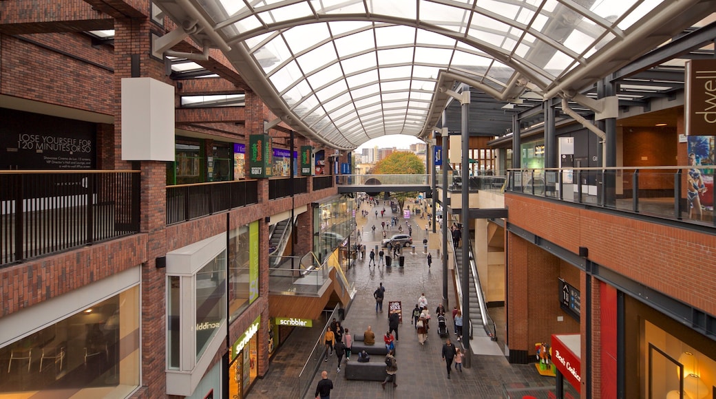 キャボット サーカス ショッピング センター フィーチャー 屋内の眺め と ショッピング