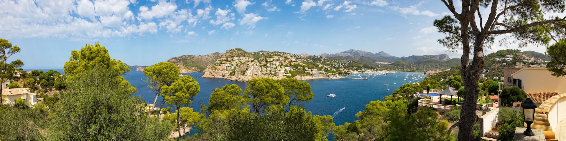 Port Andratx and surroundings seen by de la Mola