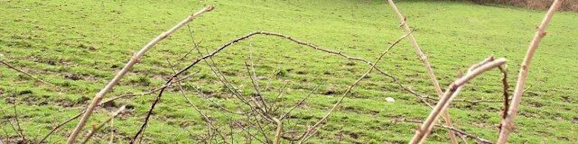 Old Railway Viaduct Spanning the valley, this disused viaduct now carries a cycle/footpath.