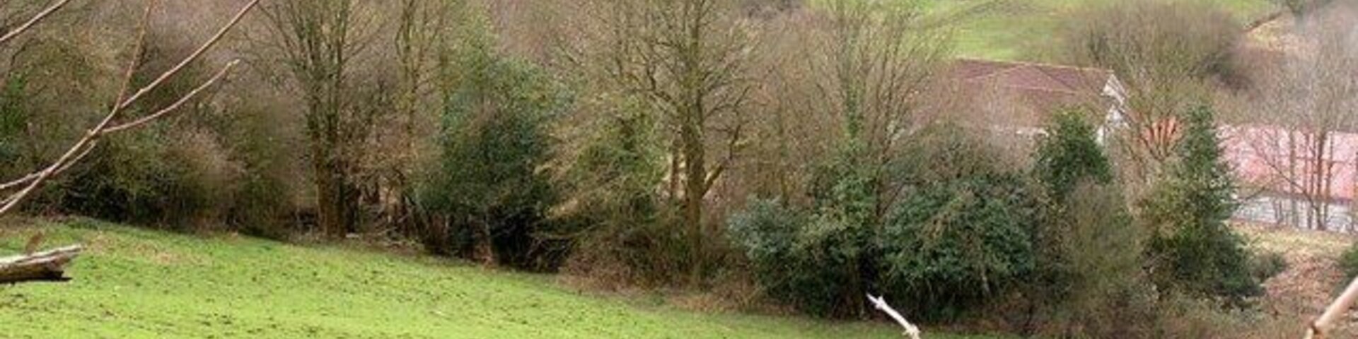 Old Railway Viaduct Spanning the valley, this disused viaduct now carries a cycle/footpath.
