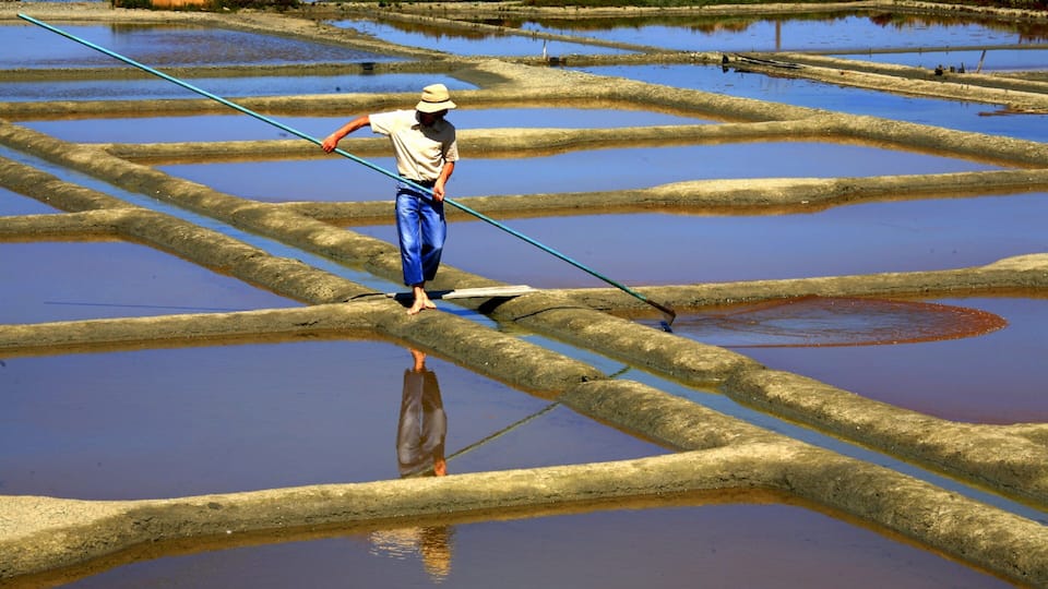A person walking across a series of water-filled terraced fields.