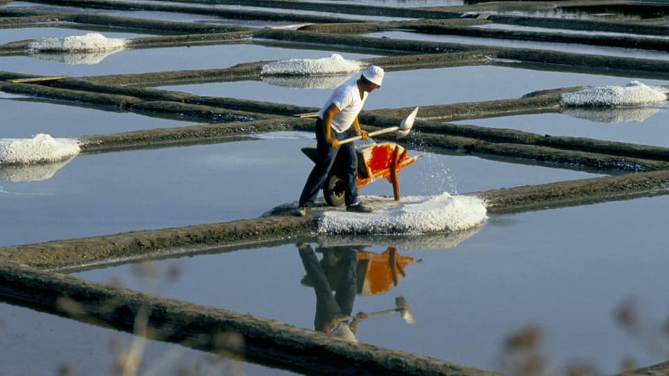 A person working in a salt flat with large white salt deposits and reflective water.