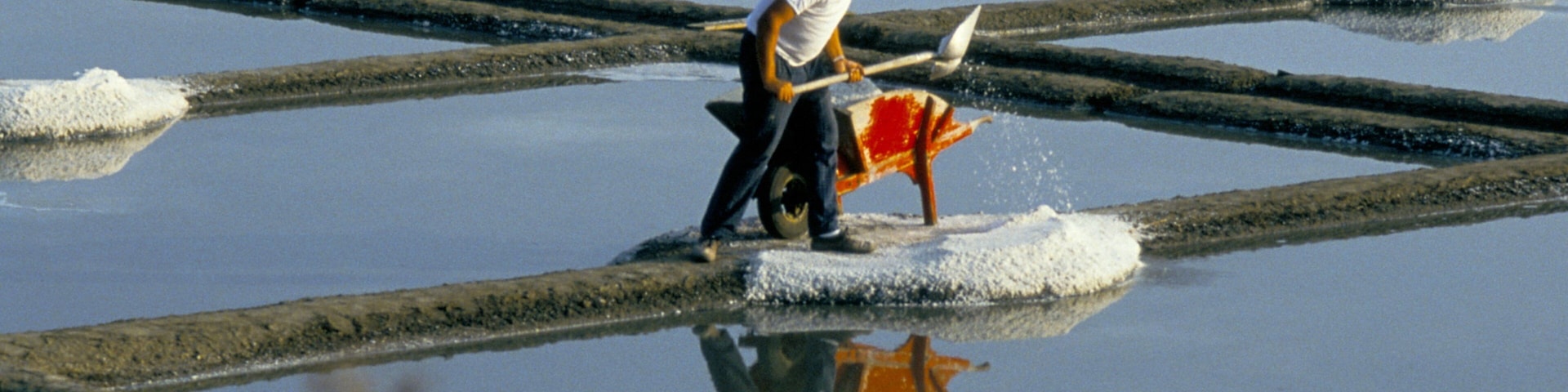 Guerande que inclui pântano e fazenda assim como um homem sozinho