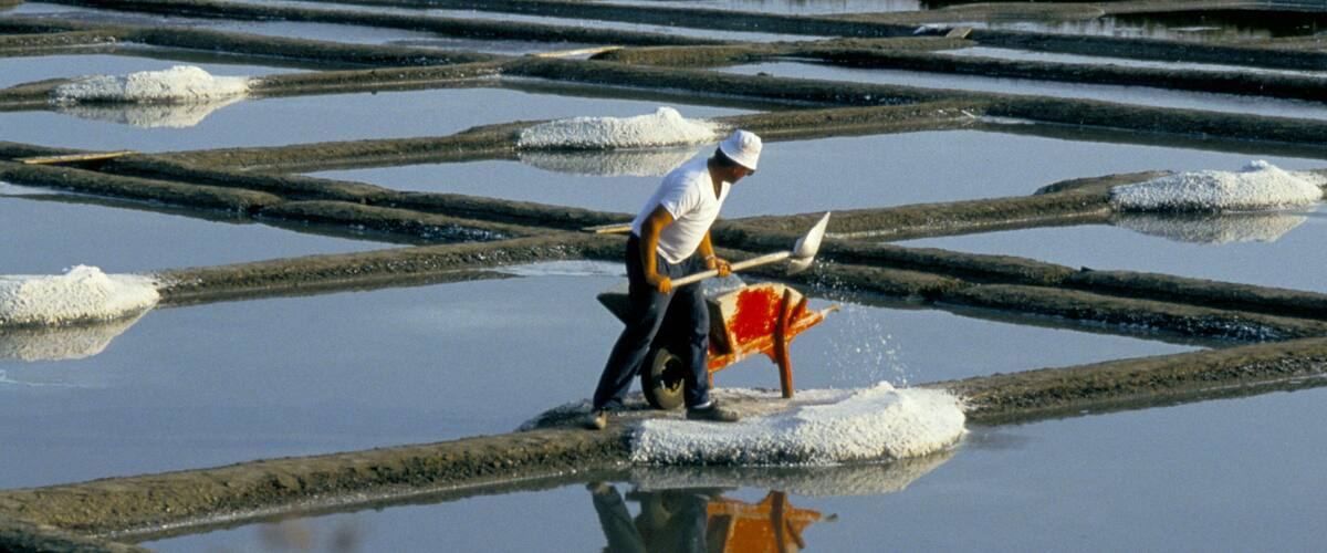 A person working in a salt flat with large white salt deposits and reflective water.