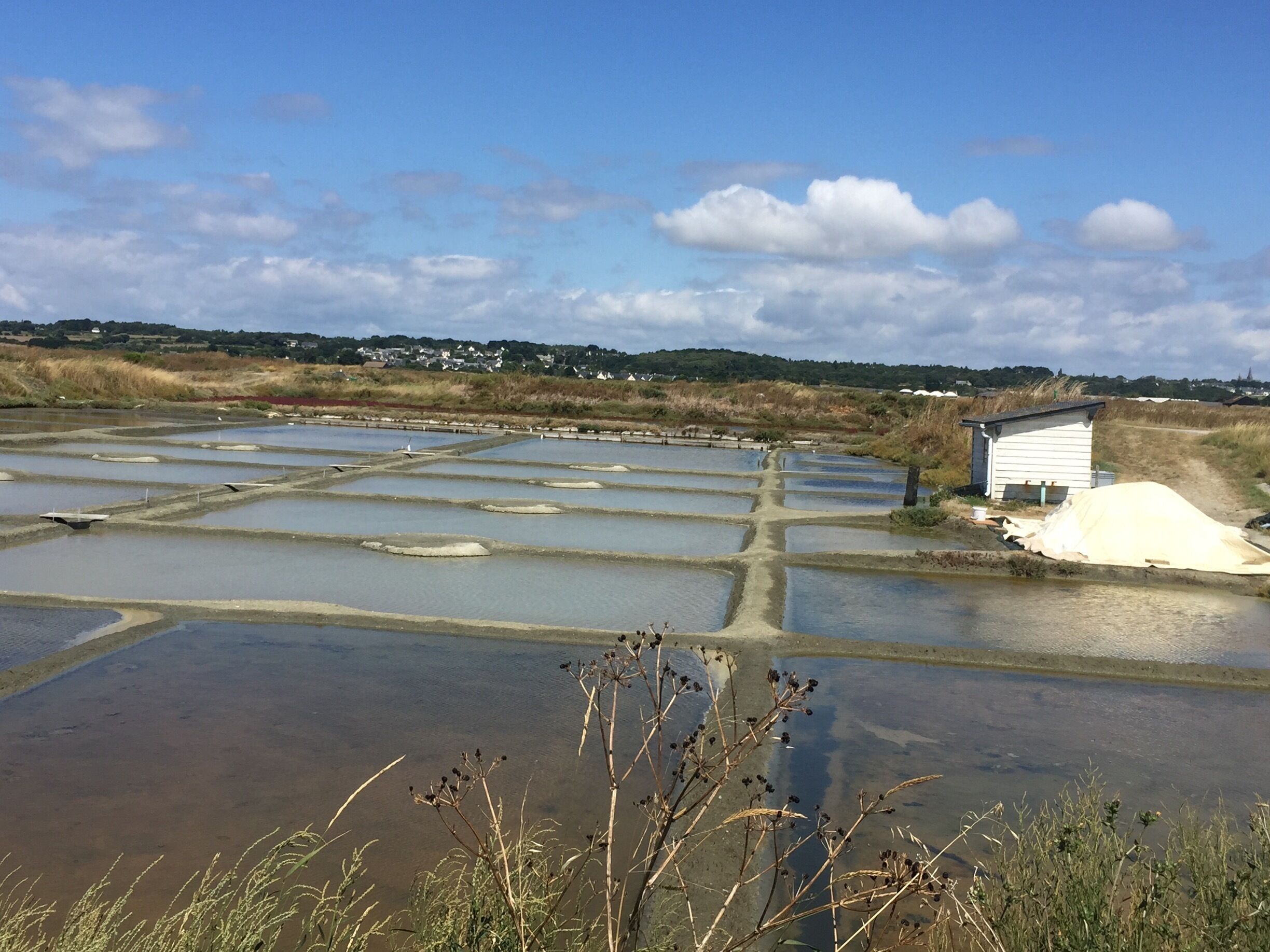 Guérande area in France is famous for its salt marshes, with its amazing mix of colors... nice also to walk in between them and just enjoy this peculiar landscape.
