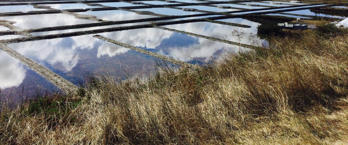 Marais Salant de Guérande