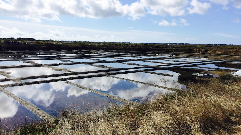 A salt flat with rectangular pools of water and dry grass in the foreground.
