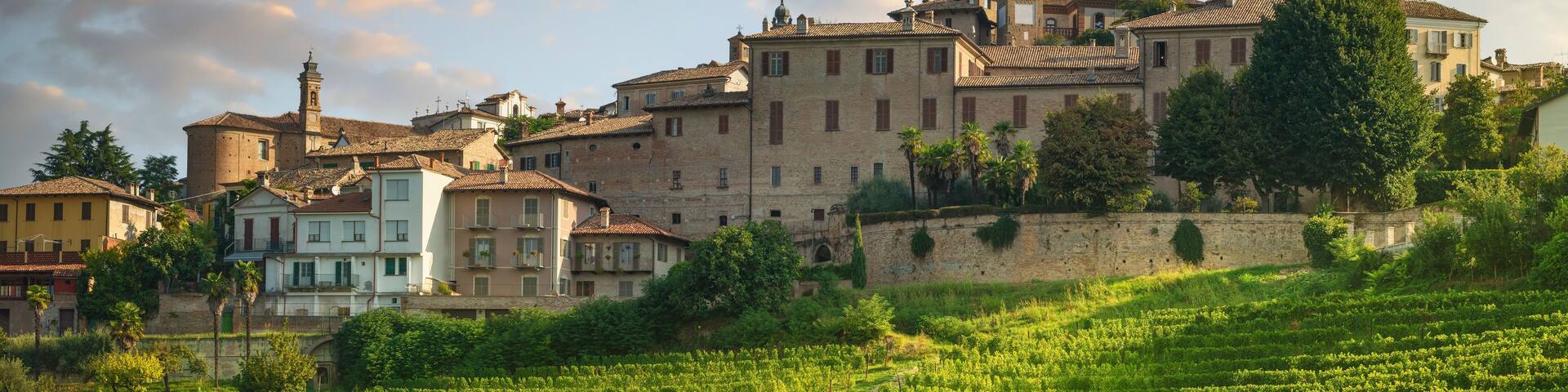 Neive village skyline and Langhe vineyards, Piedmont, Italy Europe.