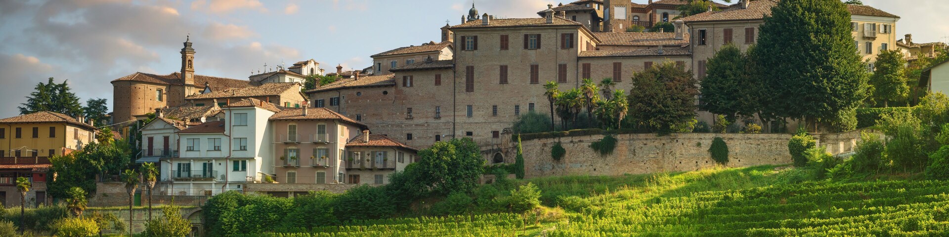 Neive village skyline and Langhe vineyards, Piedmont, Italy Europe.