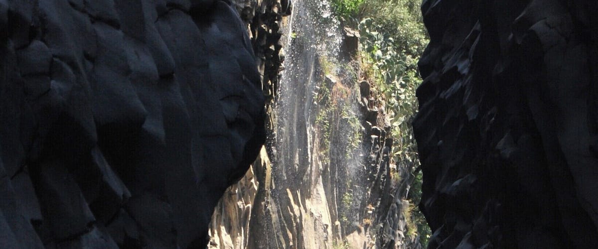 A narrow canyon with a waterfall and dense foliage.