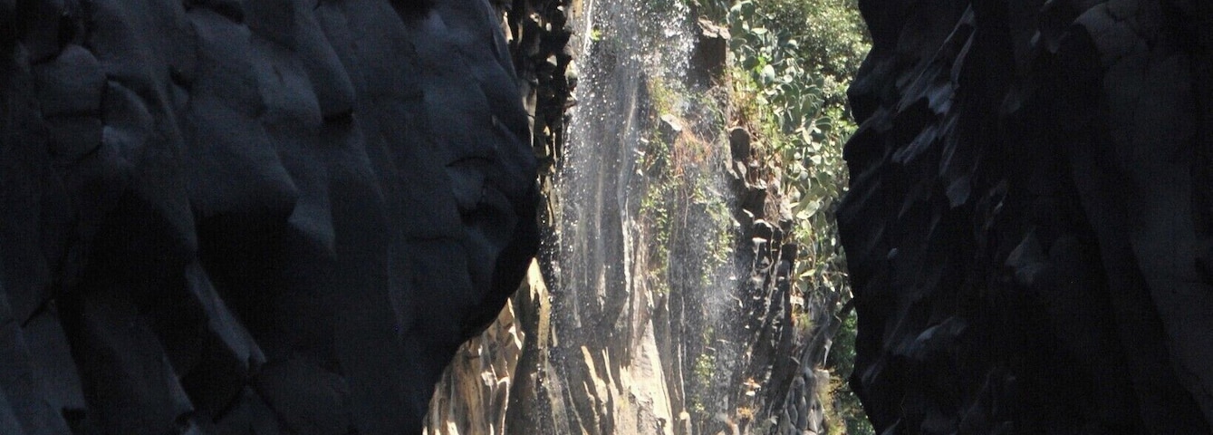 A narrow canyon with a waterfall and dense foliage.