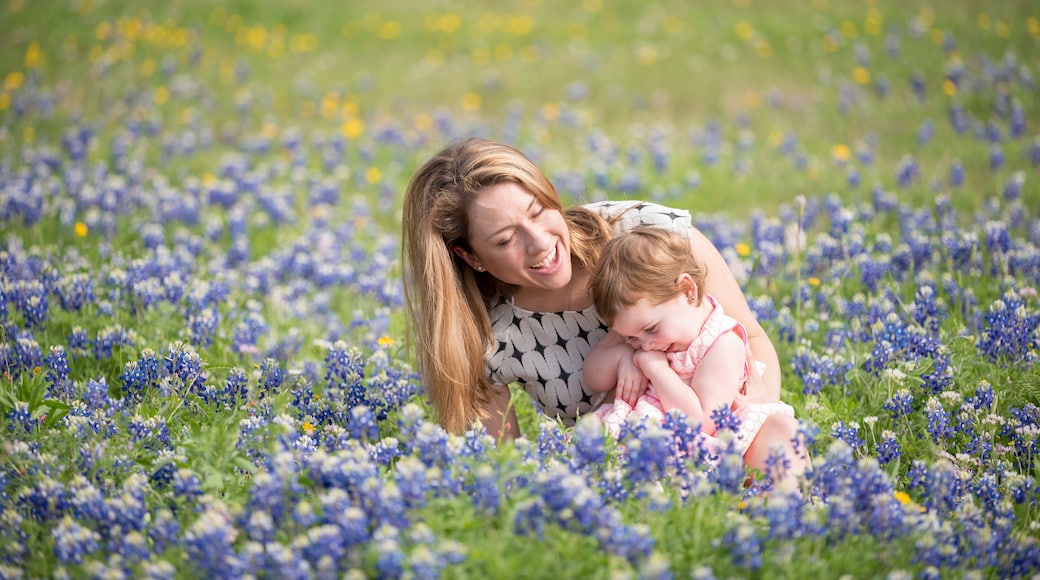 Young Millennial Mother With Daughter During Spring in a Field of Blue Bonnets