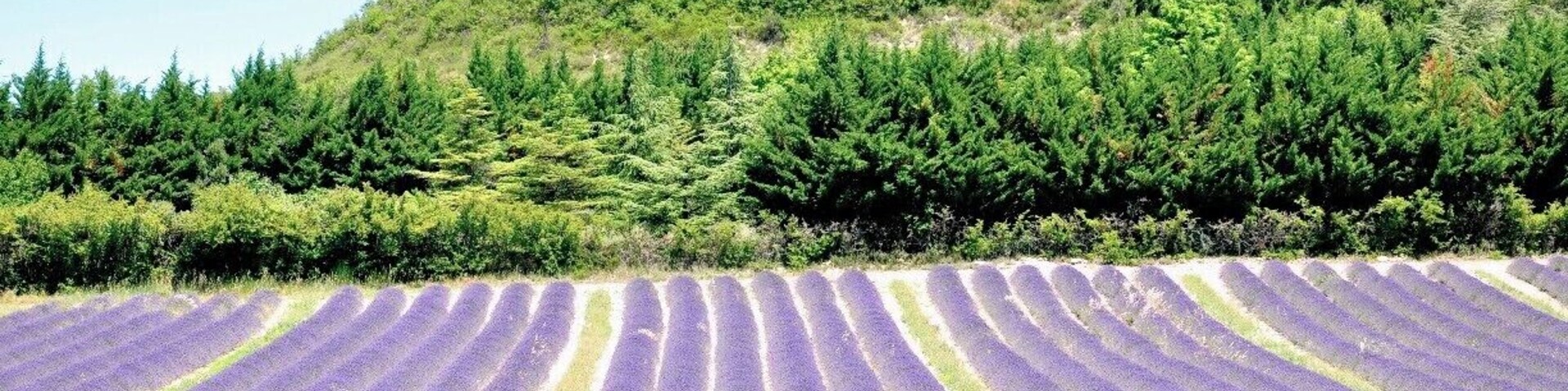 We took a loop north on the drive back to Apt from Forcalquier - definitely worth the detour.