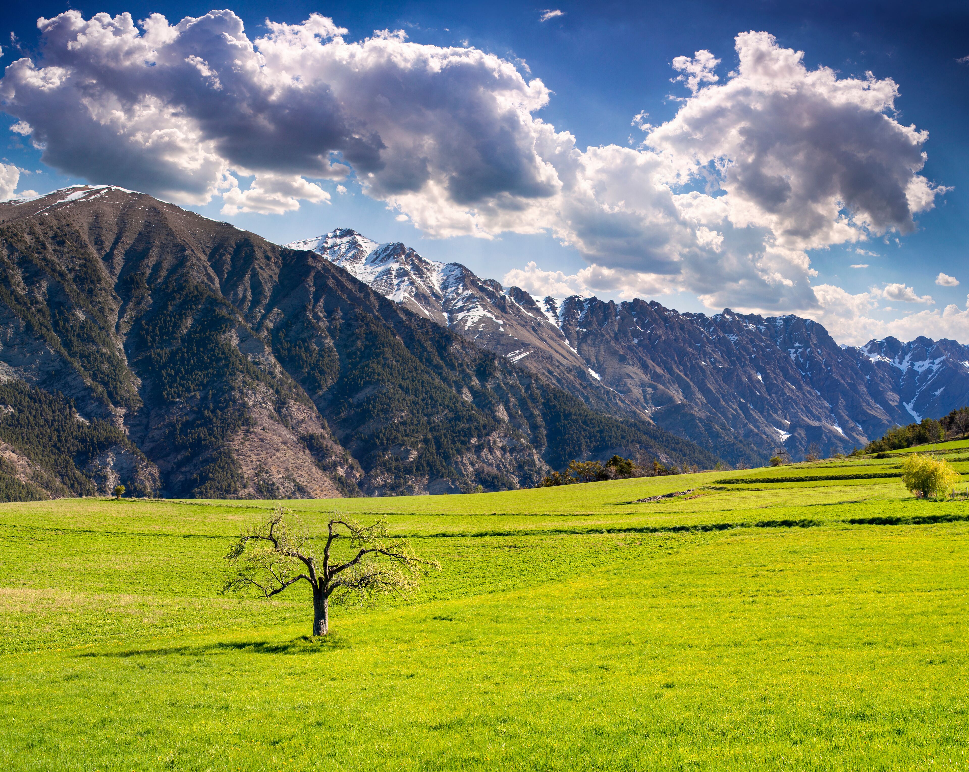 ユヴェルネ フール