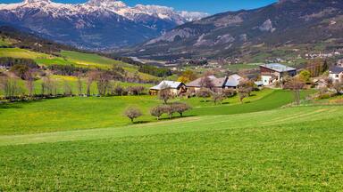 Alpine meadows near the village Uvernet-Fours