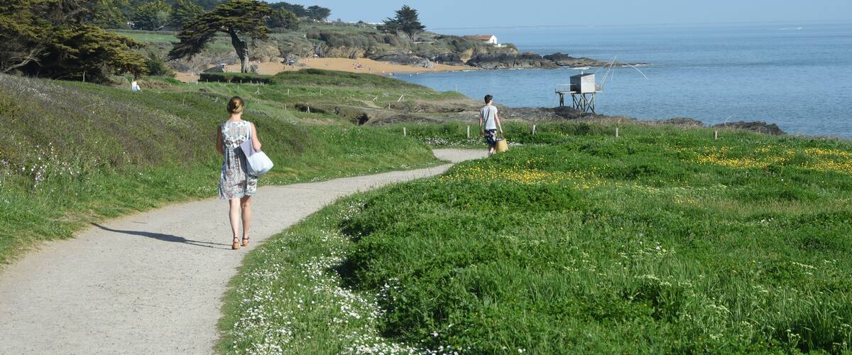 A coastal path with greenery and a beach in the background.