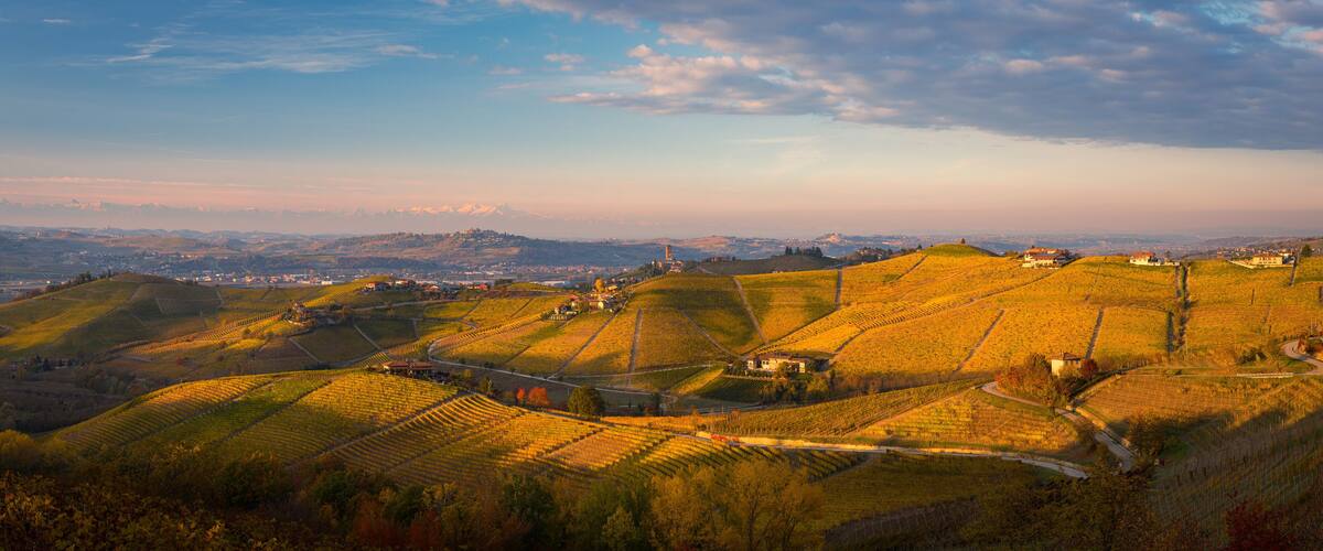 Rolling hills with vineyards, a distant town, and a prominent tower.
