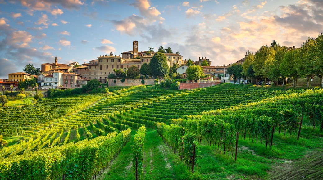 Neive village and Langhe vineyards, Piedmont, Italy Europe.