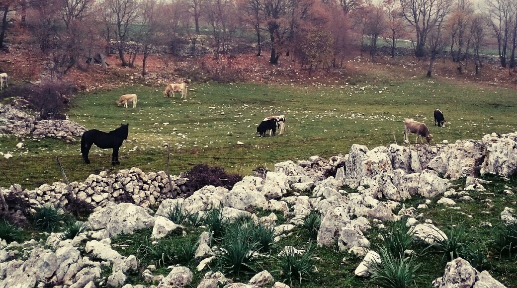 Campagne e boschi, uomo e natura trovano il perfetto connubio sul #Gargano